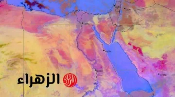 تحذير لـ 7 أيام.. الأرصاد تعلن تقلبات جوية حادة تؤثر على حالة الطقس بالبلاد